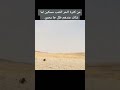 سبحان الله ضب يبحث عن الظل عند الانسان 
