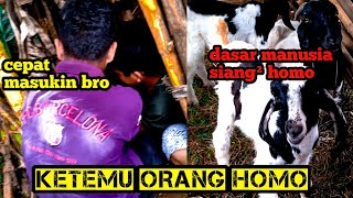 Ketemu Orang Homo ||Motovlog Indonesia||