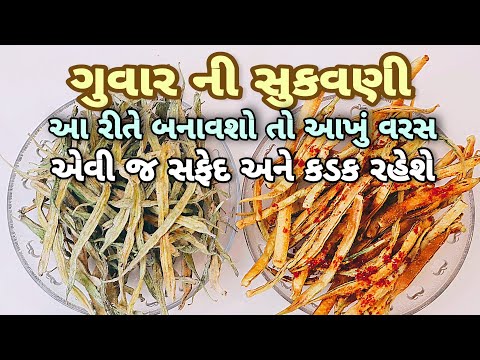 આખું વરસ સફેદ દૂધ જેવી, એવીજ કડક રહે, ગુવારની સૂકવણી | Guvar Ni Sukavni | Guvar Ni Kachri