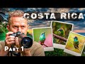 Finding Wildlife in Costa Rica part 1 - the Resplendent Quetzal