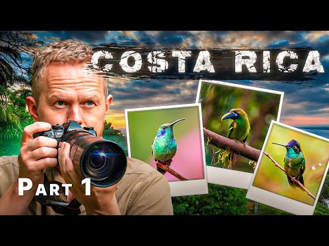 Video: Kun je een schitterende quetzal als huisdier hebben?