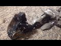 Transformers Episode President Meets The Transformers Octopus Prime Transformers Episode President Meets The Transformers Octopus Prime