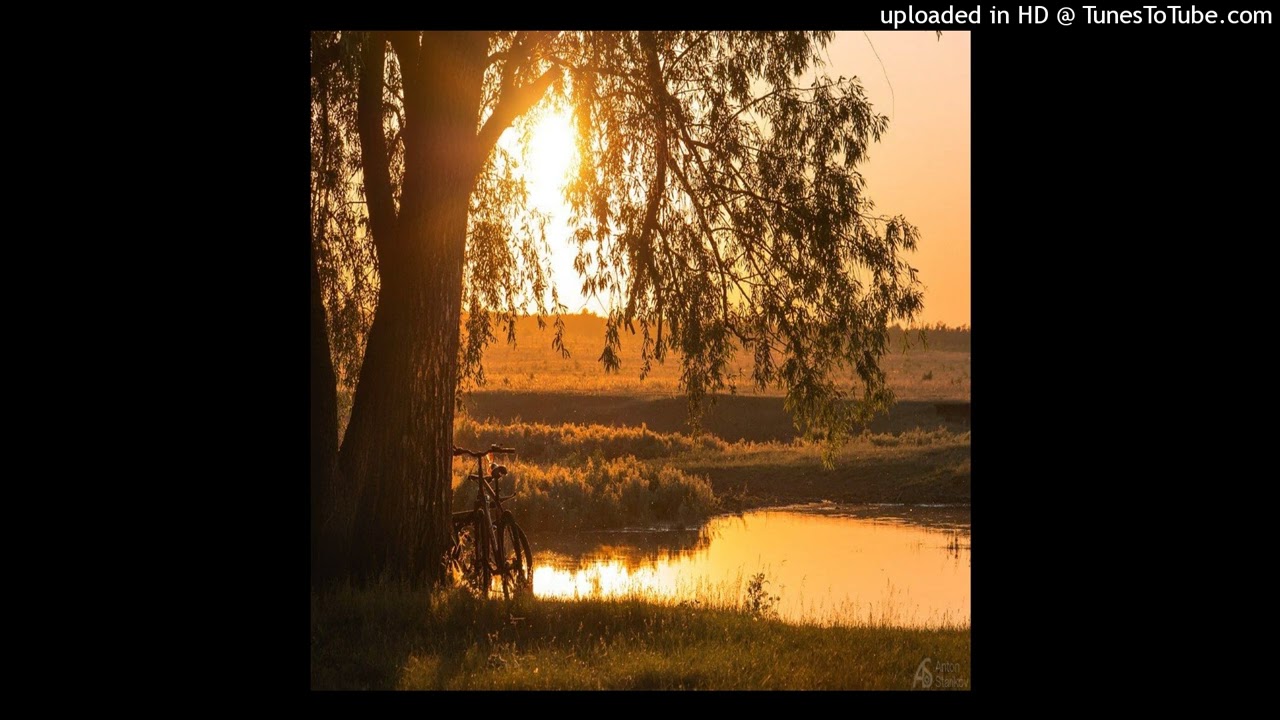 free accurate makkgin type beat “gold diggers”