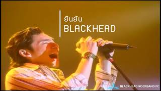 ยืนยัน - BLACKHEAD [10 Years Concert]