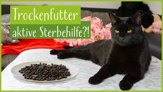 'Trockenfutter ist aktive Sterbehilfe für Katzen!' | Stimmts? by Kralle und Faden 90,334 views 5 years ago 10 minutes, 18 seconds