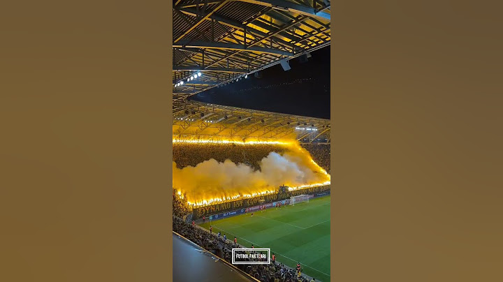 "The fans of German 3rd division team 'Dynamo Dresden' during the cup match."🔥🤯😳