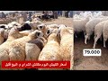 أسعار الكبيش و الأضاحي في الأسواق الجزائرية - سوق الجلفة هو الغالي فيهم