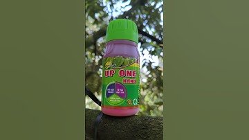 Chống rụng trái, kết quả tại nhà vườn ra sao