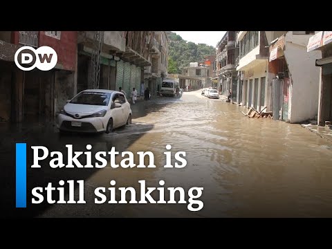 One year since the devastating floods: How's the current situation in Pakistan? | DW News