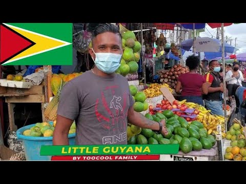 Videó: Guyana Ismeretlen Kriptidei - Alternatív Nézet