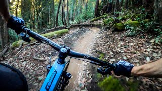 The BEST mountain bike ride in Northern California | The Flow Trail - Soquel Demo Forest screenshot 3