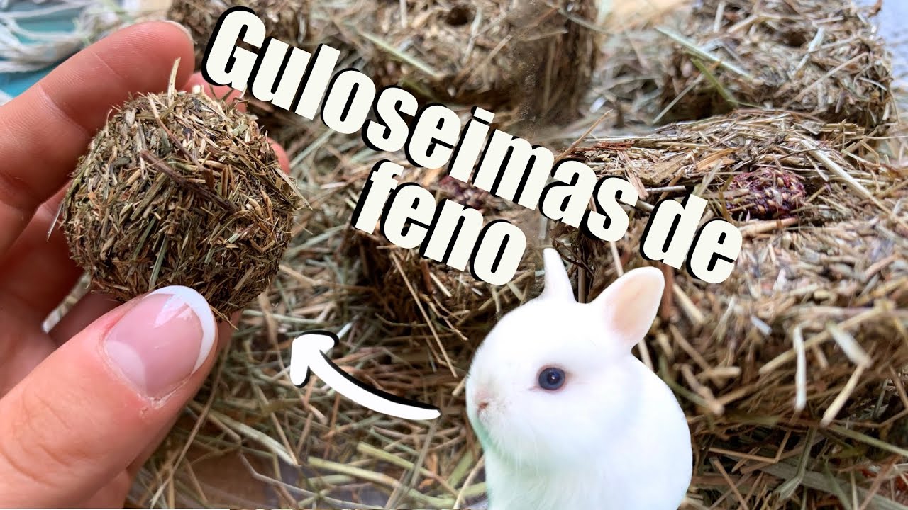 COMO FAZER GULOSEIMAS SAUDÁVEIS PARA COELHOS REUTILIZANDO O PÓ DO FENO - DIY