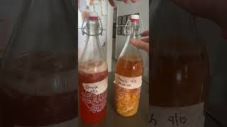 Airing out my kombucha is my favorite part🍹🎉 #kombucha #fermentation #kombuchalover