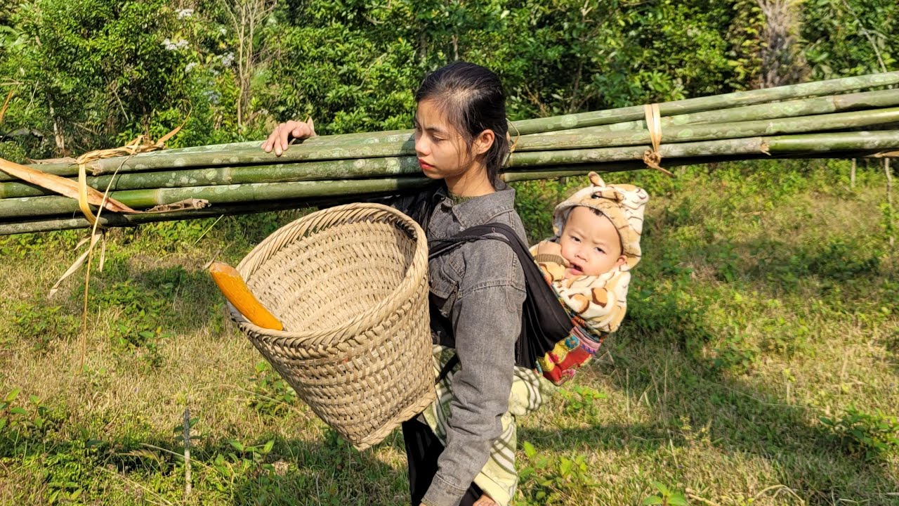 A single mother and child went into the forest to get bamboo to repair ...