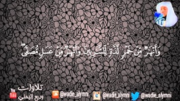 سورة محمد كاملة _ للقارئ وديع اليمني