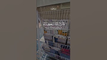#القرآن_الكريم #تلاوة_خاشعة #اللهم_صل_وسلم_على_نبينا_محمد #اول_الغيث_قطرة🇸🇩 #اكسبلور