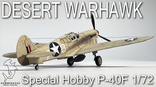 Special Hobby 1/72 P-40F | Full Build