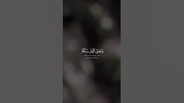 #هاني_الرفاعي #تلاوة #آيات #القرآن_الكريم #تلاوة_خاشعة #quran#القرآن #قرآن #قران_كريم #ترند #تلاوات