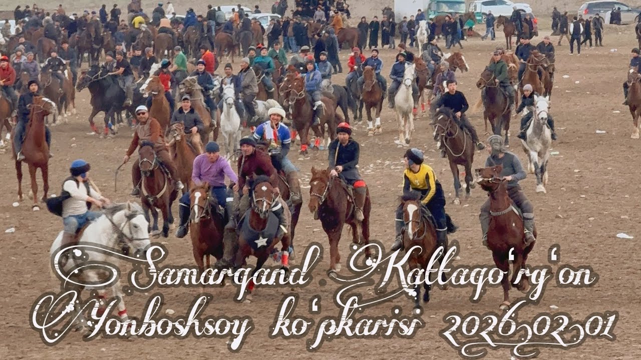 Samarqand Kattaqoʻrgʻon Yonboshsoy koʻpkarisi 2026.02.01 @Alisher_24 