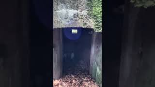 Découverte De La Forêt Au Dessus De Senones Et De Certains De Ses Lieux Historiques.