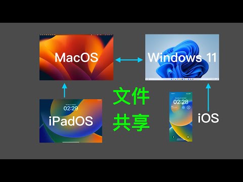 文件共享在Windows, MacOS, iPadOS, iOS上的基础使用|Shared Folder on Windows, MacOS, iPadOS, iOS