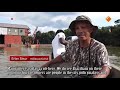 NOS-journaal "Goudkoorts in Suriname met gevolgen voor de inheemsen" Nina Jurna (English subtitles)