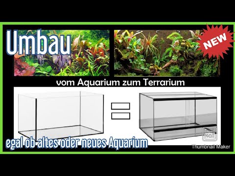 Video: Fish Tank Terrarium – Umwandlung eines Aquariums in einen Terrariengarten