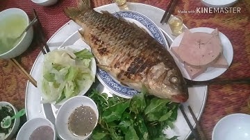 Cá sạch thơm ngon. Say với "Chép nướng than củi" đặc sản vùng Tây Bắc.