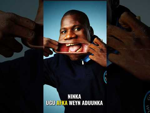 Ninka Ugu Afka Weyn Aduunka Shortsfeed Shortvidoe Shorts Maankaal