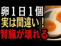 卵は腎臓の敵か、味方か? 毎日ゆで卵を食べている人の末路と、腎臓を守るタンパク質の黄金比