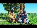 الحاج الضوى ضرب عبدالناصر فى نهار رمضان
