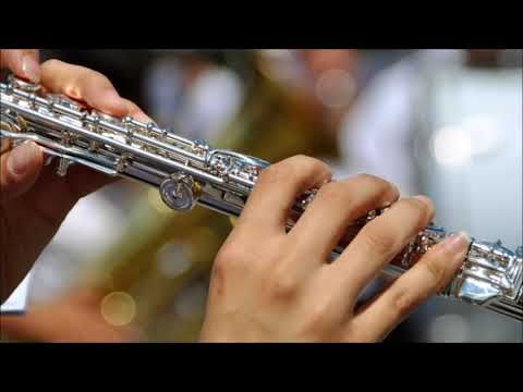 Happy Flute Ringtone | Ringtones For Android | Instrumental Ringtones