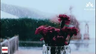 Relaxing Rain Sounds For Sleeping - Rainstorm Sounds For Sleep, Studying, Or Relaxation