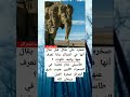 يقال أنها في الجزائر طاسيلي نجار هضبة في الصحراء الكبرى جنوب شرق الجزائر صخرة الفيل ماذا تعرف عنها