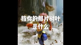 201804 挡你的那片树叶是什么20874