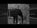 Flextra - Elephant