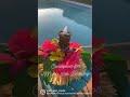 Craft &amp; Create: Centerpiece edition🌺
