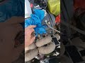 1996 Honda Civic D16Z6 Turbo AEM Fuel Pressure Regulator Pre installation video. #honda #viral #diy