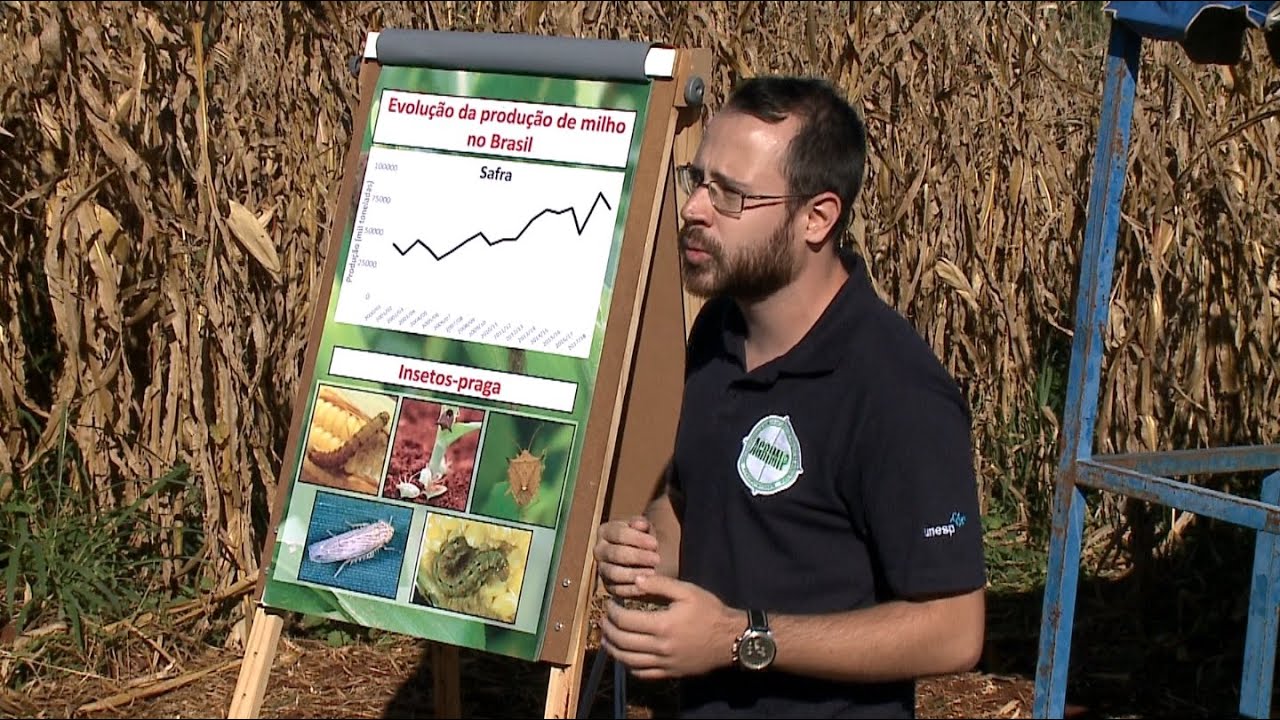 ciências biomédicas Unesp Notícias | Dia de Campo da Cultura do Milho chega a sua 26ª edição na Unesp em Botucatu