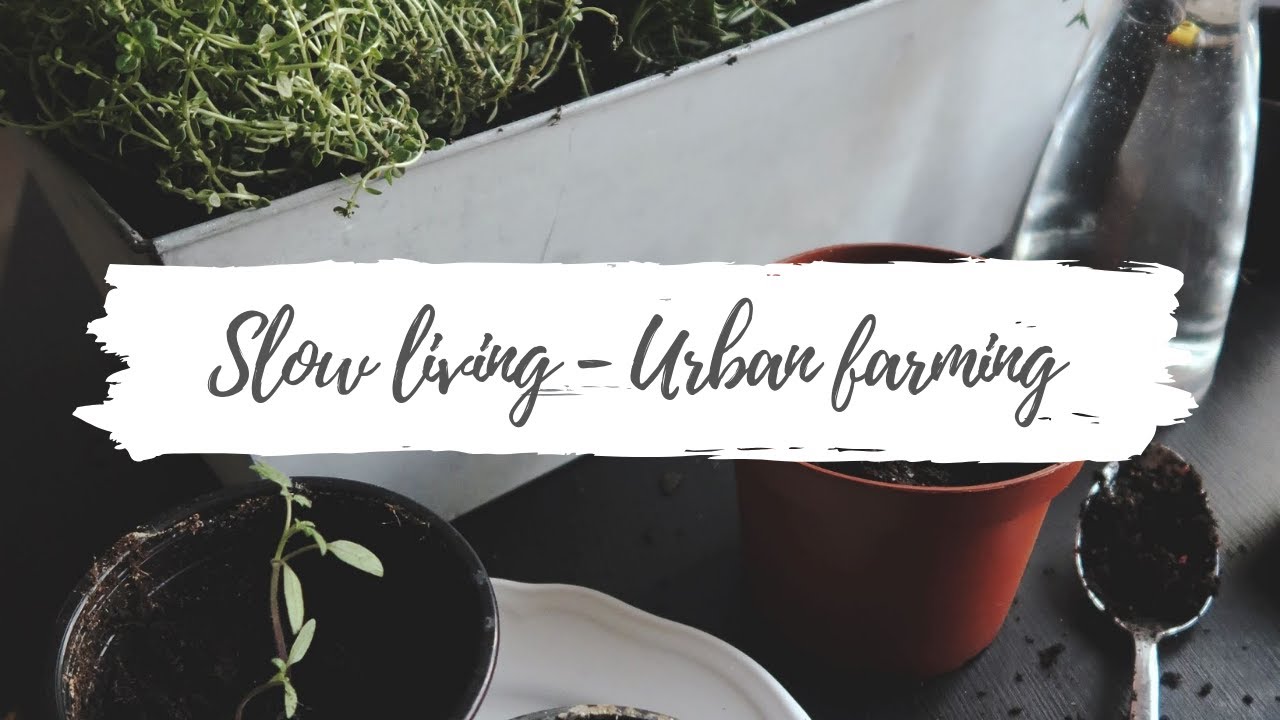 Slow living - Urban farming I How to grow your own food in the city ...
