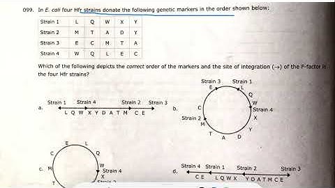 PREVIOUS YEAR QUESTIONS SOLUTION- CONJUGATION- BACTERIAL GENETICS CSIR-NET LIFESCIENCE//PART 2