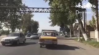 DENOV MEZ KO'CHALARI SOG'INGANLAR UCHUN