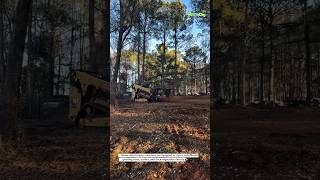 This Forestry Mulcher Turns Trees into Mulch Instantly | Extreme Land Clearing