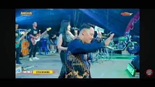 LAILA AYU - DATANG UNTUK PERGI - NEW AMBARA MUSIC 