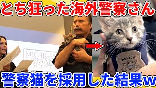 【2ch動物スレ】警察が犬の代わりに警察猫を正式に採用した結果ｗｗｗｗｗ【総集編】【睡眠用】