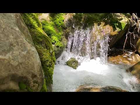 Peteetneet Creek by