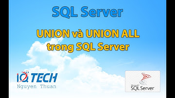 Bài 18: UNION và UNION ALL trong SQL Server