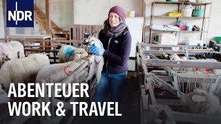 Abenteuer Work & Travel | die nordstory | NDR Doku