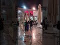 زيارة الإمام الرضا عليه السلام- زيارة الأحاديث السبعة- مهدي صادقي