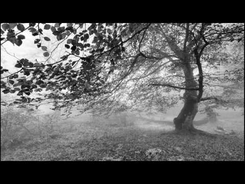 Iben Video